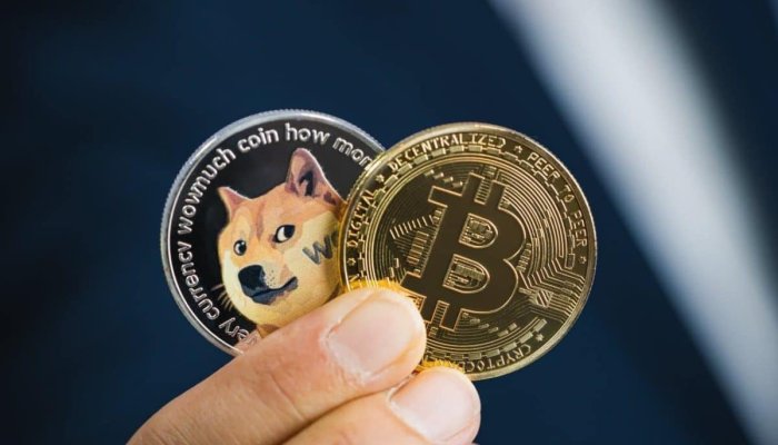 5 Best Tips For a DOGE To BTC Converter