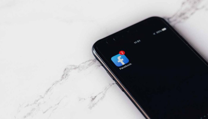 Grow Your Agency with White Label PPC Facebook Ads!