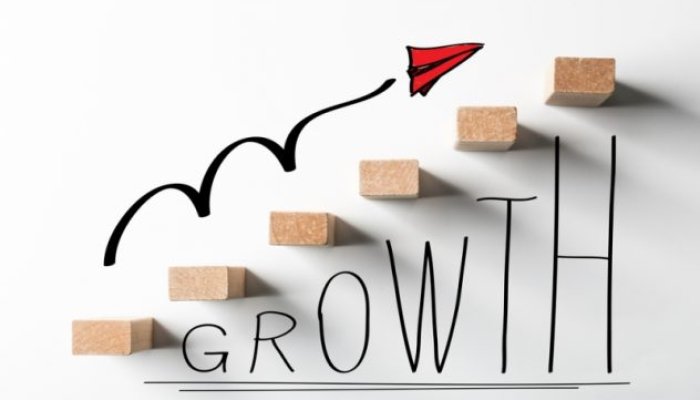 5 Steps to Quickly Grow Your Startup