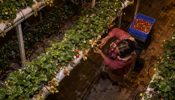 WEH Ventures का ₹250 करोड़ लक्ष्य: नया पैसा सॉफ्टवेयर से बाहर जाएगा