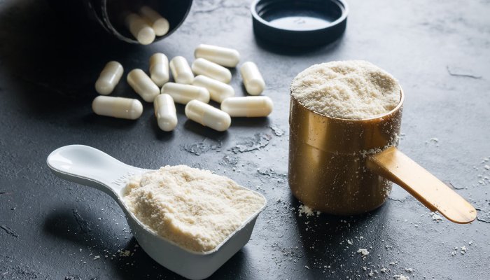 Protein Supplements: How to Correctly Choose Your Protein Supplement