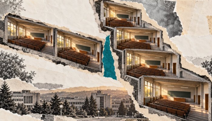 AI мастер у Србији: једна или две године мењају прави избор