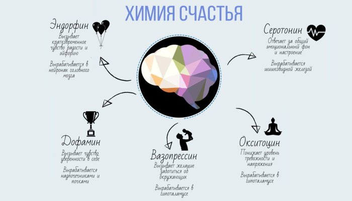 11 невероятных способов заставить мозг вырабатывать эндорфины, серотонин и дофамин